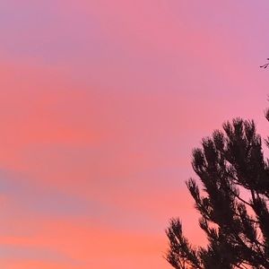 Meet your Posher, Maggie